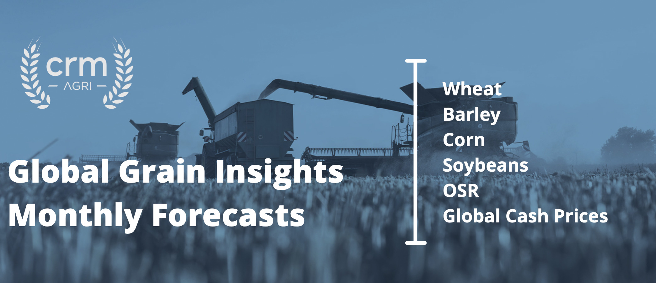 Grain Market Outlook 2021