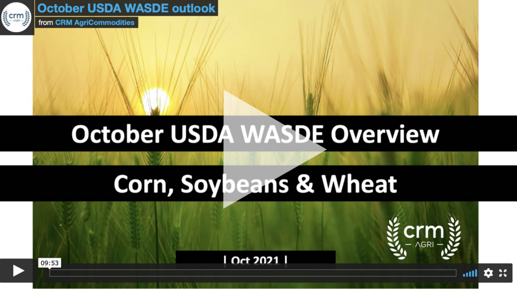 October USDA WASDE & Outlook Graintab