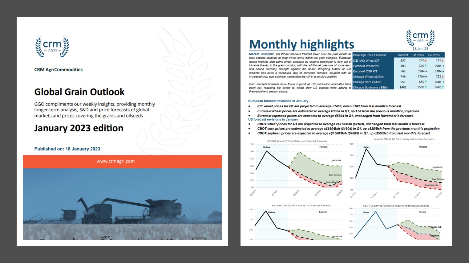 January Global Grain Outlook Graintab